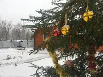 Фото номера Дом для отпуска Гостевой дом Рахманов Плёс г. Владимир 24